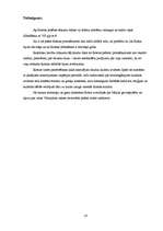 Referāts 'Romas valsts izcelšanās: mīti un vēsture', 14.