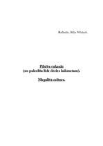 Referāts 'Pilsētu rašanās no paleolīta līdz dzelzs laikmetam. Megalītu celtnes', 1.