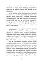 Referāts 'Pilsētu rašanās no paleolīta līdz dzelzs laikmetam. Megalītu celtnes', 9.