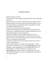 Biznesa plāns 'Skolēnu mācību uzņēmuma biznesa plāns', 4.