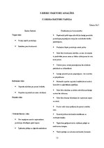 Biznesa plāns 'Skolēnu mācību uzņēmuma biznesa plāns', 13.