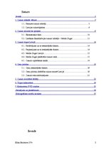 Referāts 'Produkta vēsture', 2.