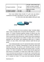 Referāts 'Produkta vēsture', 7.