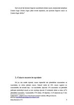 Referāts 'Produkta vēsture', 9.