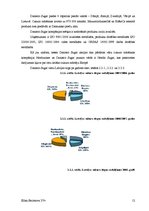 Referāts 'Produkta vēsture', 12.