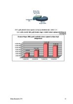 Referāts 'Produkta vēsture', 13.