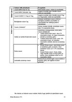 Referāts 'Produkta vēsture', 16.