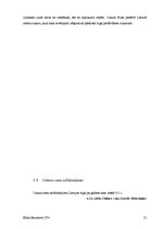 Referāts 'Produkta vēsture', 21.