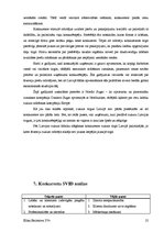 Referāts 'Produkta vēsture', 25.