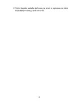 Diplomdarbs 'SIA "X" gada pārskats', 31.