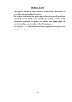 Diplomdarbs 'SIA "X" gada pārskats', 32.