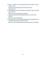 Diplomdarbs 'SIA "X" gada pārskats', 34.