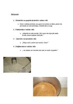 Referāts 'Maize', 6.