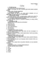 Konspekts 'Fizika', 1.