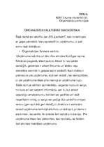 Konspekts 'Organizāciju kultūras diagnostika', 1.