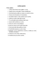 Konspekts 'Lietišķa apģērba nosacījumi', 1.