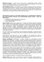 Konspekts 'Konspekts no Torgāna grāmatas kontroldarbam Saistību tiesībās - apdrošināšanas l', 3.