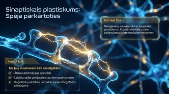 Prezentācija 'Kā fiziskās aktivitātes aizsargā smadzeņu veselību', 8.