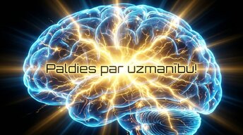 Prezentācija 'Kā fiziskās aktivitātes aizsargā smadzeņu veselību', 17.