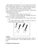Konspekts 'Izdzīvošana, uguns iegūšana, pārtikas netradicionāla iegūšana', 8.