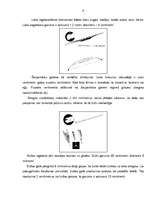 Konspekts 'Izdzīvošana, uguns iegūšana, pārtikas netradicionāla iegūšana', 9.
