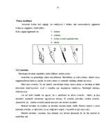 Konspekts 'Izdzīvošana, uguns iegūšana, pārtikas netradicionāla iegūšana', 10.