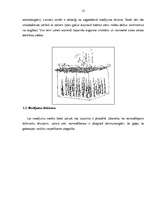 Konspekts 'Izdzīvošana, uguns iegūšana, pārtikas netradicionāla iegūšana', 13.