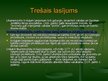 Prezentācija 'Likumdošana', 12.