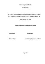 Diplomdarbs 'Stratēģijas plāna izsrāde', 1.