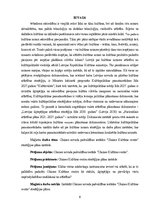 Diplomdarbs 'Stratēģijas plāna izsrāde', 8.