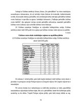 Diplomdarbs 'Stratēģijas plāna izsrāde', 36.