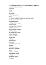 Diplomdarbs 'Stratēģijas plāna izsrāde', 92.