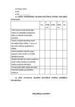 Diplomdarbs 'Stratēģijas plāna izsrāde', 95.