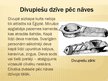 Prezentācija 'Divupes civilizācija', 10.