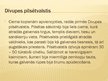 Prezentācija 'Divupes civilizācija', 18.