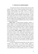 Referāts 'Kultūras definīcija', 4.