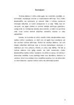 Referāts 'Kultūras definīcija', 6.