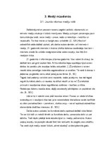 Referāts 'Mediju cenzūra Latvijā un tās sekas', 9.