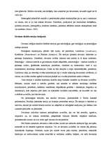 Referāts 'Deviance socioloģijas teoriju skatījumā', 3.