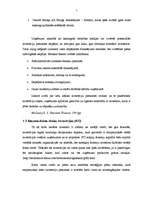 Referāts 'Investīcijas un to piesaistes veidi', 5.