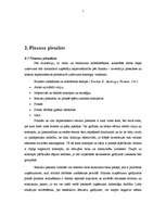 Referāts 'Investīcijas un to piesaistes veidi', 7.