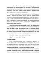 Referāts 'Investīcijas un to piesaistes veidi', 17.