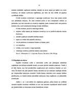 Referāts 'Investīcijas un to piesaistes veidi', 18.