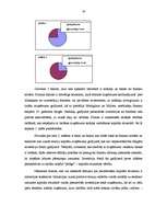 Referāts 'Investīcijas un to piesaistes veidi', 19.