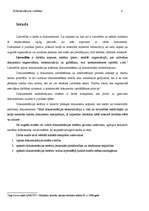 Referāts 'Dokumentācijas sistēmas', 2.