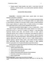 Referāts 'Dokumentācijas sistēmas', 9.