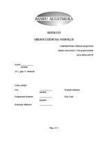 Referāts 'Mikrouzņēmuma nodoklis', 1.