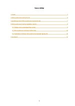 Referāts 'Mikrouzņēmuma nodoklis', 2.