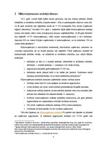 Referāts 'Mikrouzņēmuma nodoklis', 4.