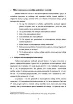 Referāts 'Mikrouzņēmuma nodoklis', 9.